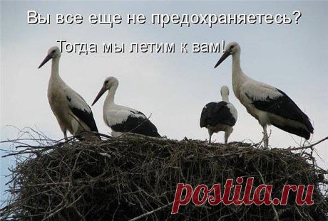 Позитив в картинках с надписями