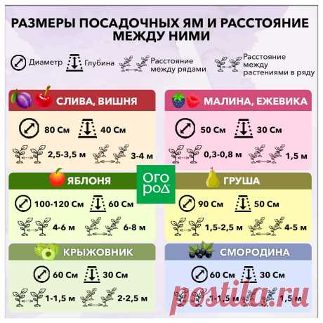 огород.ru | Дзен