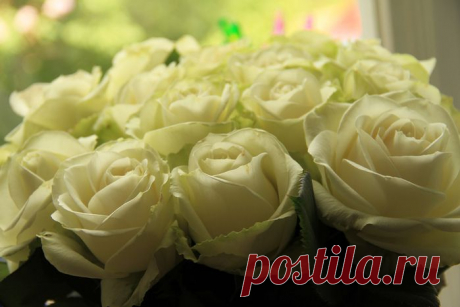 Украсим интерьер аппликацией.