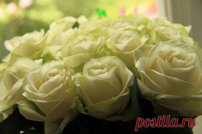 Украсим интерьер аппликацией.