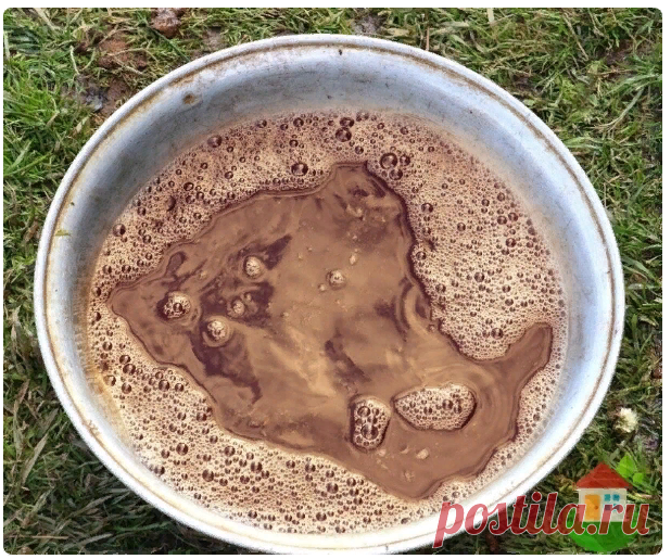 Настой луковой шелухи