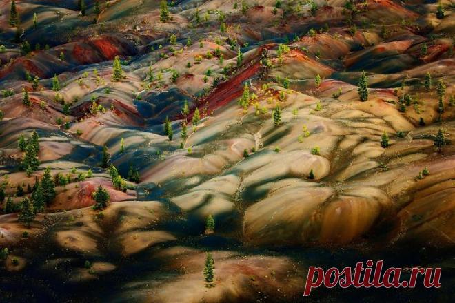 Инопланетный национальный парк в Калифорнии