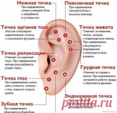 Массаж ушной раковины — лучше таблеток
