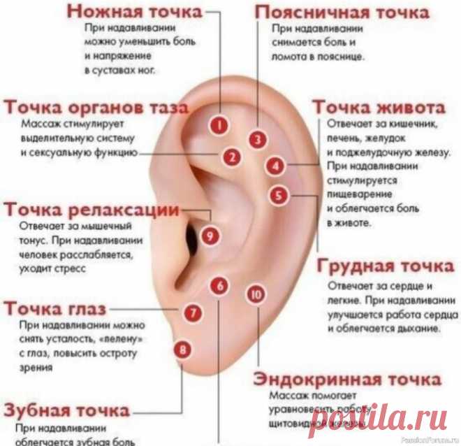 Массаж ушной раковины — лучше таблеток