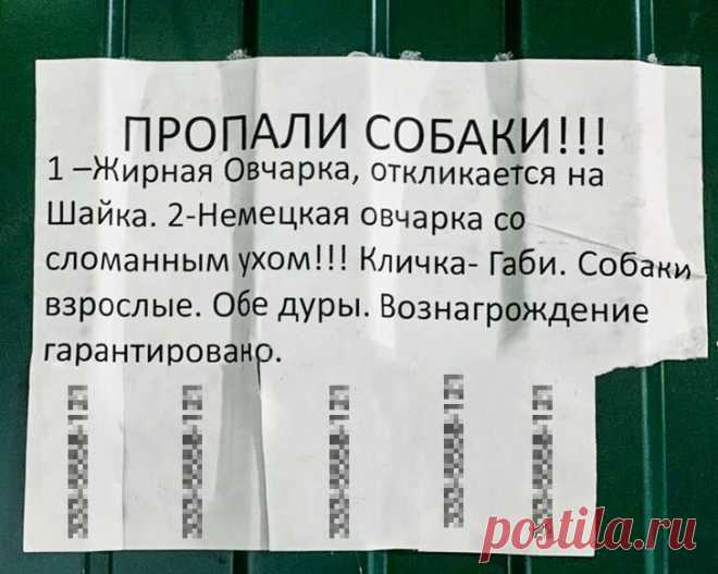 10 очень смешных объявлений, которые изначально такими не задумывались. Часть 1 | Все в шоколаде | Яндекс Дзен