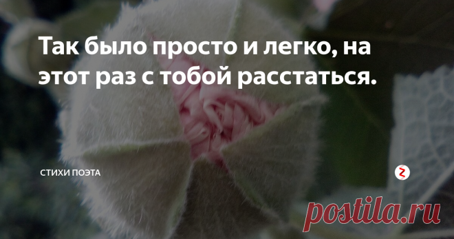 Так было просто и легко, на этот раз с тобой расстаться. Хм, так было просто и легко,
На этот раз с тобой расстаться.
И отпустивши далеко
Не вспоминать, не волноваться.