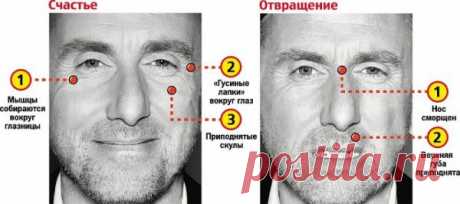 Психология лжи или как распознать ложь по жестам и мимике