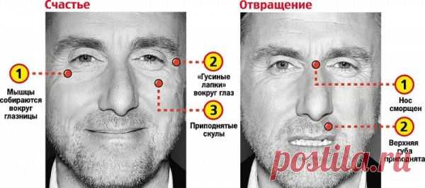 Психология лжи или как распознать ложь по жестам и мимике