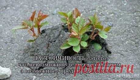 Вам сообщение!