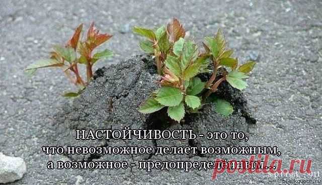 Вам сообщение!