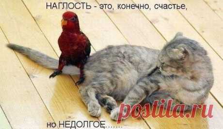 ВКонтакте
