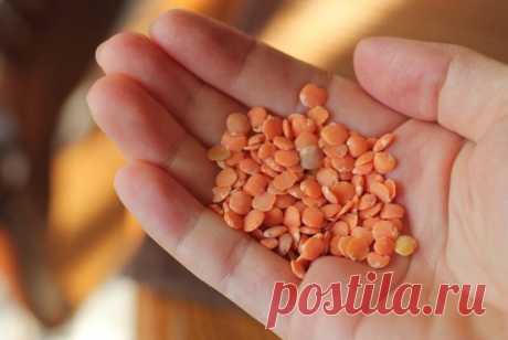 Вкусные постные котлеты из чечевицы, фарша даже руками не касаюсь | IrinaCooking | Яндекс Дзен