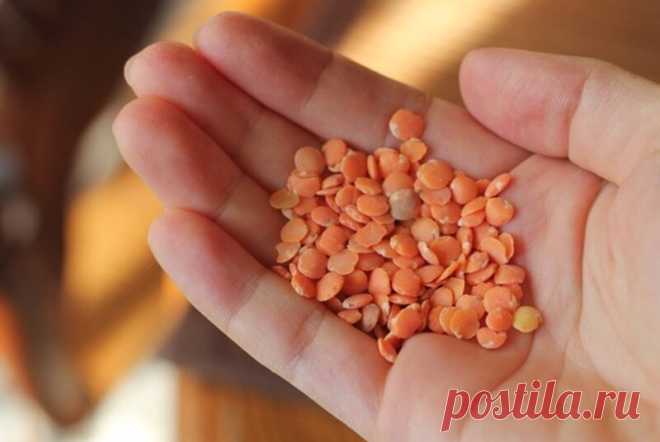 Вкусные постные котлеты из чечевицы, фарша даже руками не касаюсь | IrinaCooking | Яндекс Дзен