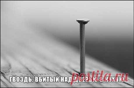 ГВОЗДЬ, ВБИТЫЙ НАД ДВЕРЬЮ В КУХНЮ

"Гвоздь, вбитый в верном месте, особой силой обладает. Это от места зависит в большей степени. Если в конюшне или в хлеву гвоздь вбить в западном углу - здоровье у всех животных будет хорошее, если вбить в правый угол ворот или калитки, в садовый участок ведущих, то урожай будет хорошим, если над дверью гаража вбить - это от угона машины защитит и от аварий. Если же гвоздь над кухонной дверью вбить, он весь дом укрепляет, на себе держит. ...