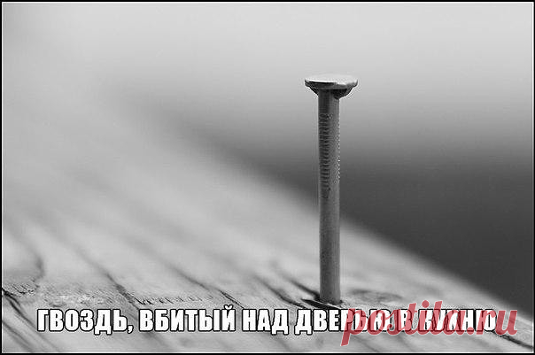 ГВОЗДЬ, ВБИТЫЙ НАД ДВЕРЬЮ В КУХНЮ


