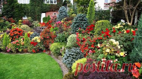 Основные правила создания цветников | Журнал "JK" Джей Кей