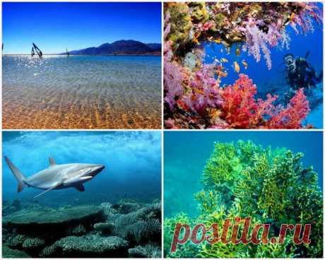 10 фактов о Красном море