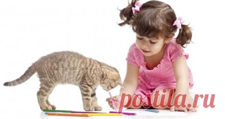 Аллергия на животных | Семья и ребенок