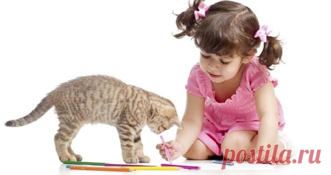 Аллергия на животных | Семья и ребенок