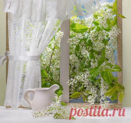 Это раннее утро, солнце шепчется с облаками... Натюрморты Лебедевой Светланы