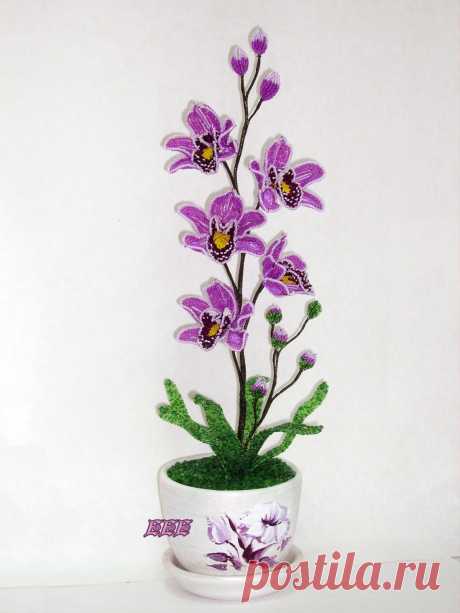 biser.info_16802_orkhideja-cimbidium-nedotroga_1388487413.jpg (1200×1600)