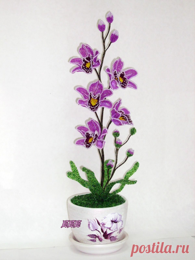 biser.info_16802_orkhideja-cimbidium-nedotroga_1388487413.jpg (1200×1600)