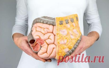 Самый вредный в человеческом теле: в чем опасность жира на животе