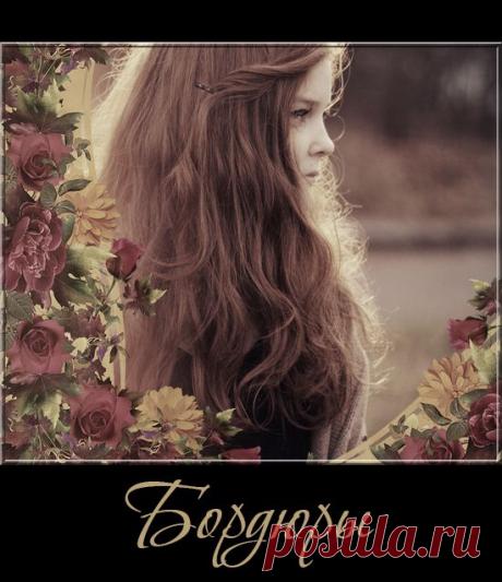 Цветочные и винтажные бордюры на прозрачном фоне