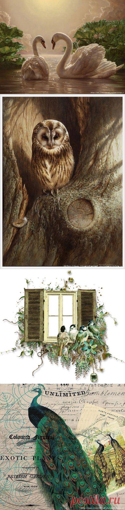 Птички для декупажа.