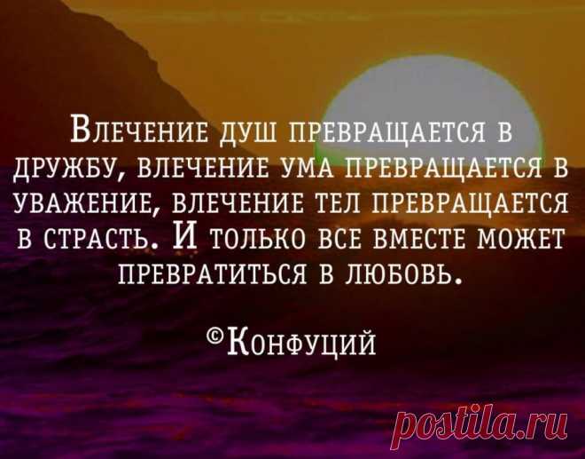 Влечение душ превращается в дружбу, влечение ума превращается в уважение, влечение тел превращается в страсть. И только все вместе может превратиться в любовь | Мир позитивных новостей