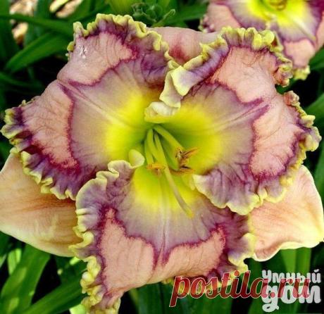 Фотографии на стене сообщества | 32 837 фотографий