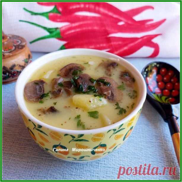 Картофельный суп с шампиньонами и плавленым сыром - рецепт автора Галина Мирошниченко & Амбассадор