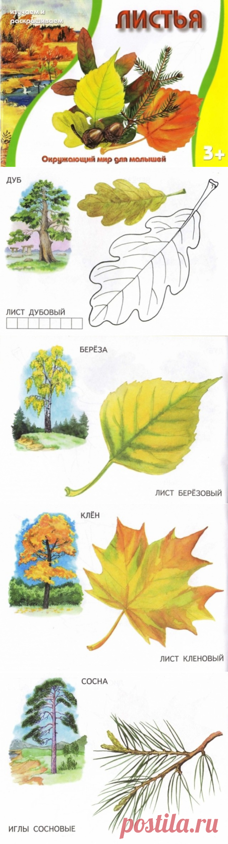 (58) Одноклассники