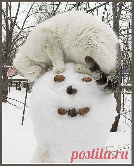 I love you Mr. Snowman