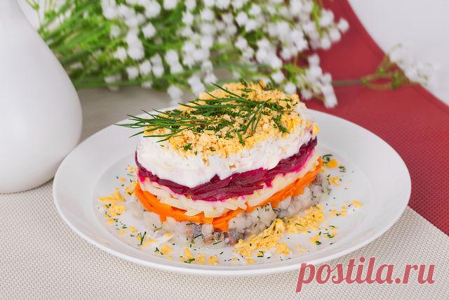 Секреты приготовления вкусной селедки под шубой: хитрости и рецепты | Официальный сайт кулинарных рецептов Юлии Высоцкой