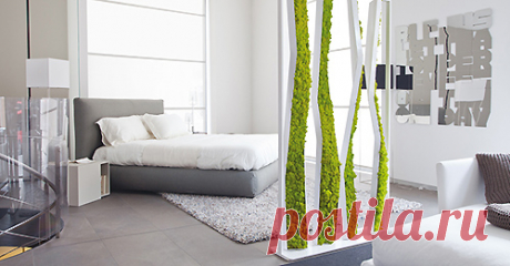 Мох в интерьере