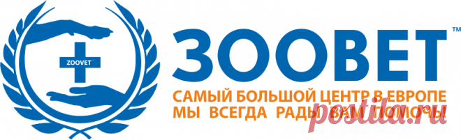 Заболела самка амадины - 09 марта 2017 - Форум Зоовет