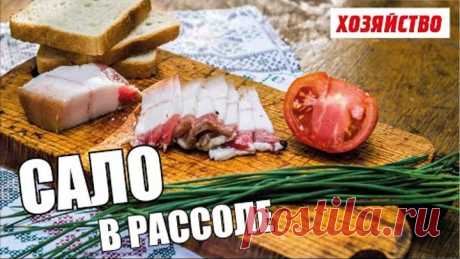 Сало в рассоле – такого вы еще не пробовали (готовит Олег Пахолков)