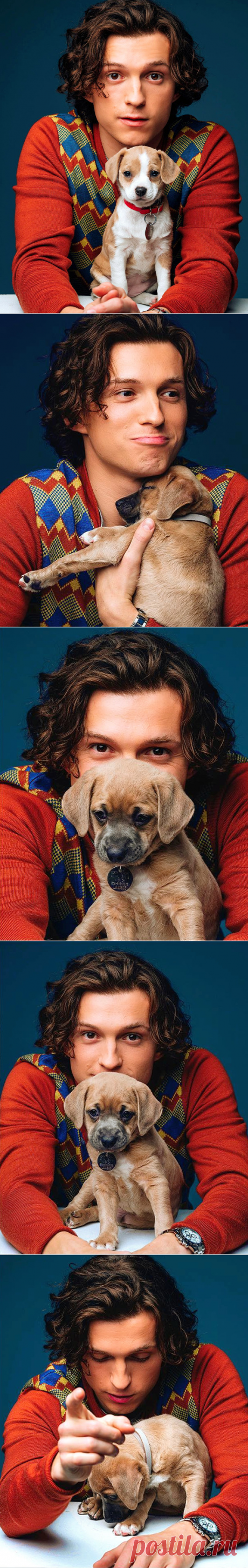 Том Холланд