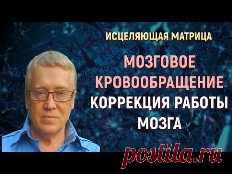 КВАНТОВОЕ ИСЦЕЛЕНИЕ МОЗГА И МОЗГОВОГО КРОВООБРАЩЕНИЯ (МАТРИЦА ГАРЯЕВА)