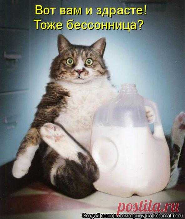 Тоже бессонница?