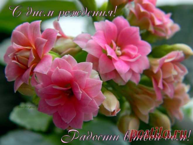 Музыкальная открытка - С днем рождения!