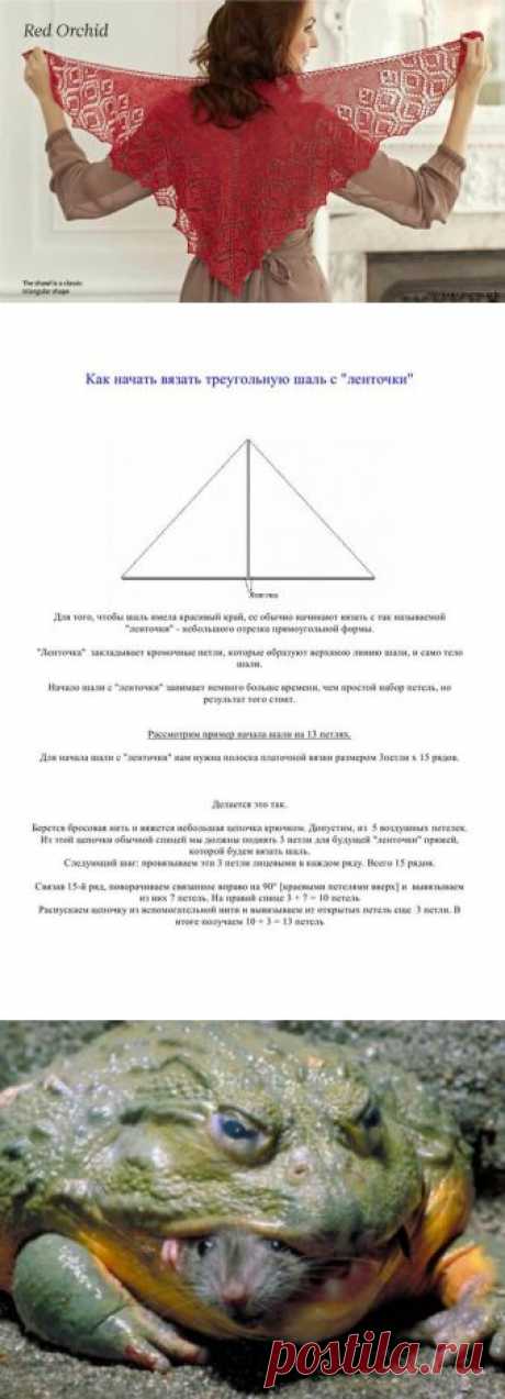 Совместное вязание Красной орхидеи и Холден-первый этап. / Вязание спицами / Игра &quot;Авантюра&quot; спицами
