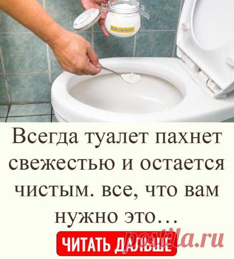 Всегда туалет пахнет свежестью и остается чистым. все, что вам нужно это…