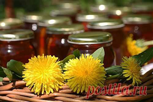 5 оригинальных рецептов из одуванчиков / Простые рецепты