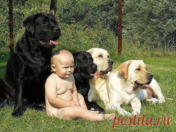 я и мои друзья