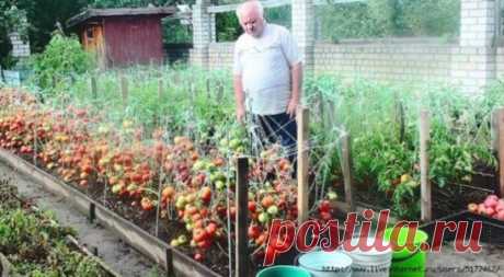 (1) Одноклассники