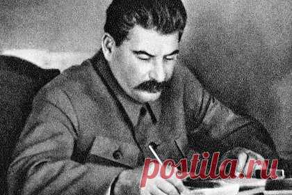 Правнук Сталина написал открытое письмо. Правнук Иосифа Сталина художник Селим Бенсаад написал открытое письмо главе МИД Сергею Лаврову и предложил распустить ООН. По его мнению, ООН доказала свою несостоятельность в решении вопросов о недопущении геноцида нации и отдельных народов. Бенсаад уверен, что организация «позволяет истреблять русских» в Донбассе.
