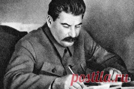Правнук Сталина написал открытое письмо. Правнук Иосифа Сталина художник Селим Бенсаад написал открытое письмо главе МИД Сергею Лаврову и предложил распустить ООН. По его мнению, ООН доказала свою несостоятельность в решении вопросов о недопущении геноцида нации и отдельных народов. Бенсаад уверен, что организация «позволяет истреблять русских» в Донбассе.