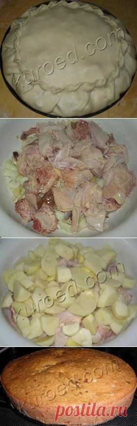 РЕЦЕПТЫ | Курник из сырой курицы с косточками (с пошаговыми фото)